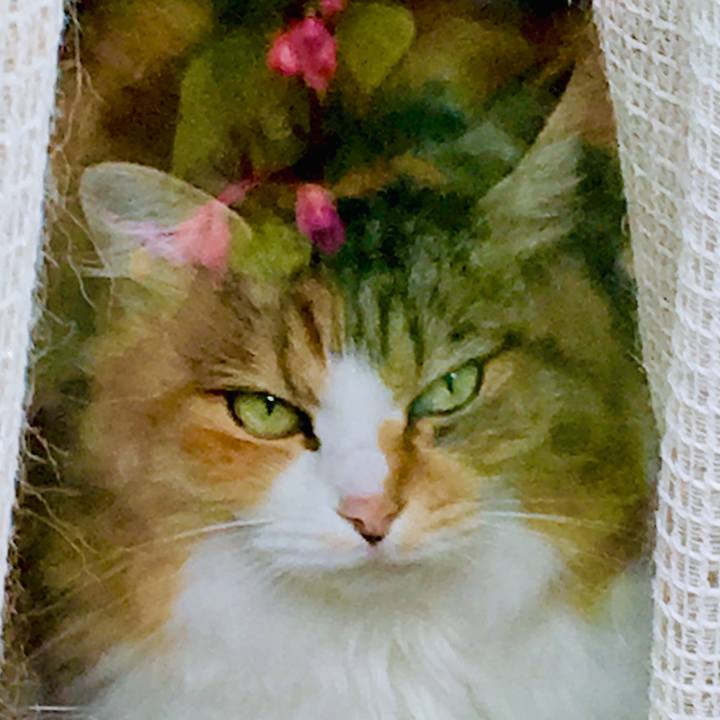 B4679bf1 1c41 46f2 8c8f 28a1153313a0 1566963292931