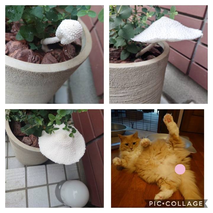 B467a8a7 3563 4808 aa48 3193406469c8 1629100145093