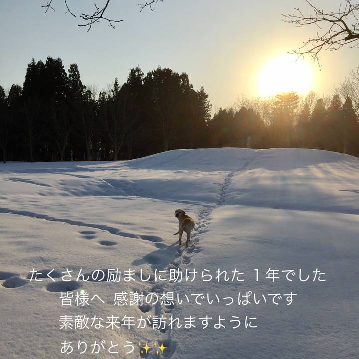 B467afb7 3623 4955 9301 6602f68683fc 1514630304929