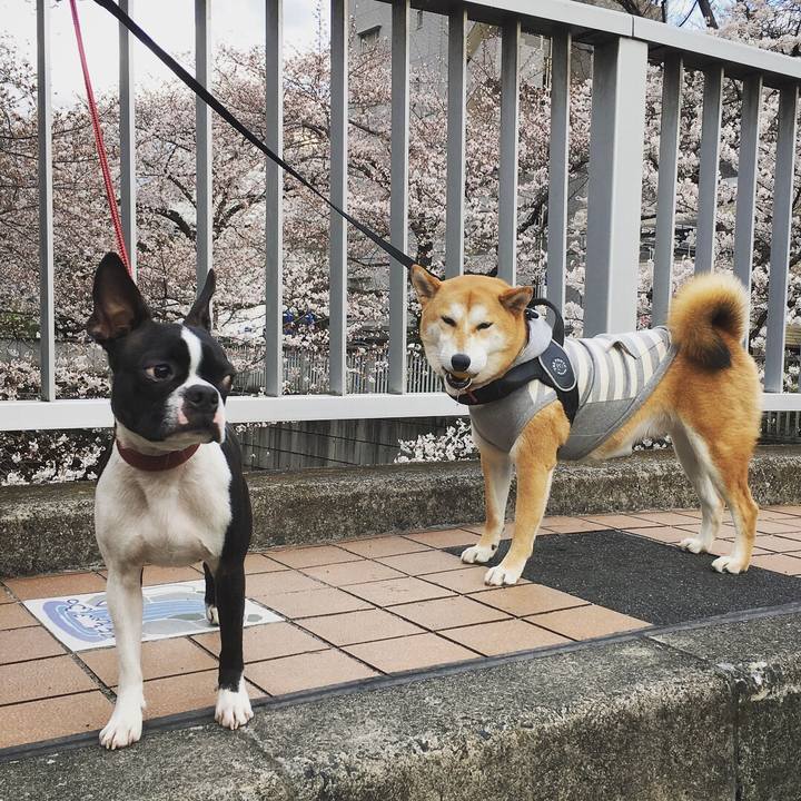 B46802b5 a900 43be 83ee 7baab2512232 1521808881837