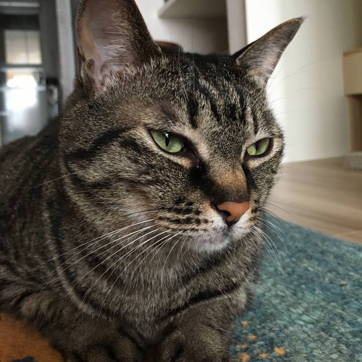 B46824b9 4e61 4bd2 b543 f57b1349a1bf 1591404005660