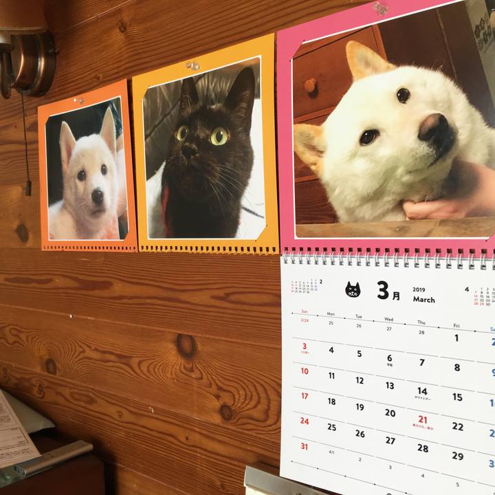 B46832ef 7946 4384 acbb 2b82b8d9a6b2 1551574215103