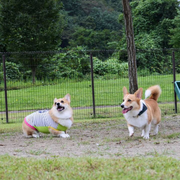 B4686c35 979a 4c1a a1c9 16e6aebd7f86 1569194476275