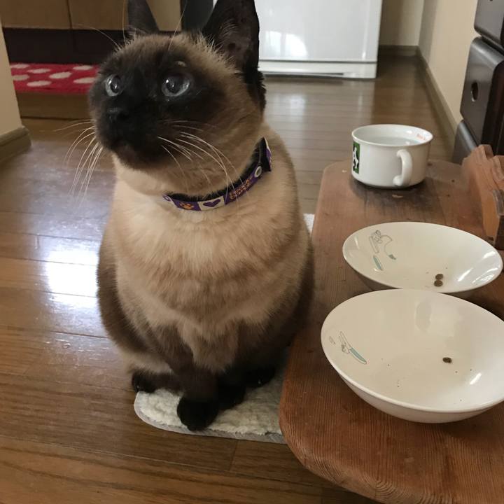 B4687ac2 57b4 4abc 8901 b55bac85fdbf 1523244201834