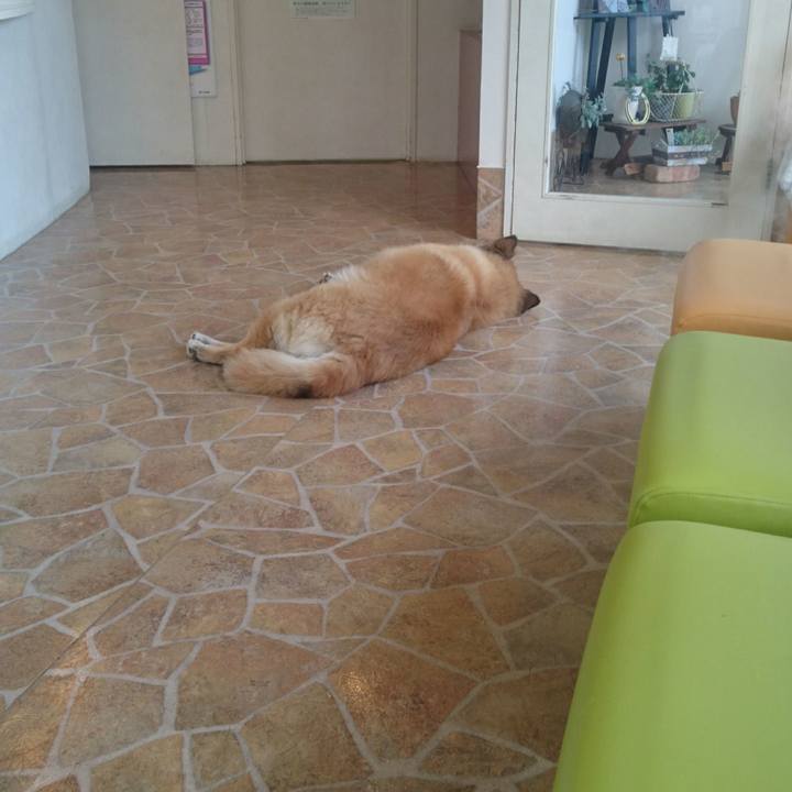 B468931f 5e7e 4a9e 951c ecb10c2d2f6e 1509758496080