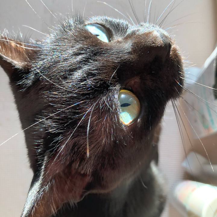 B468ba96 491d 498a a892 391920998240 1618008424762