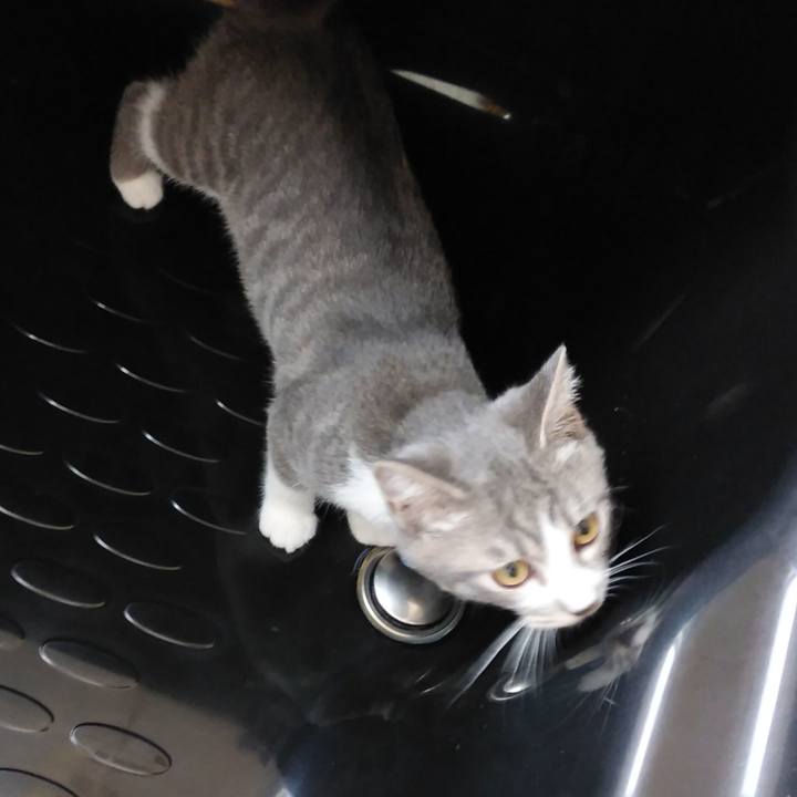 B468be95 2c14 431b bea2 512bdd1f1845 1566081469425