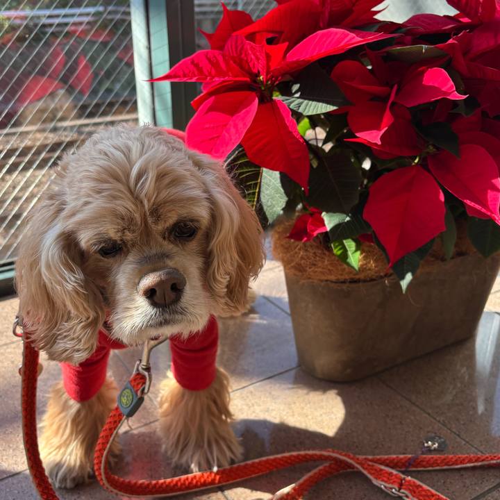 B468e594 5e1a 48f0 be95 ebad7bc55312 1764601512594