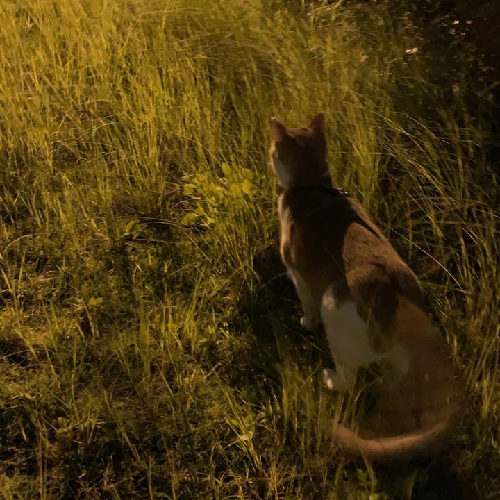 B468f2b5 ab35 4a96 ad88 ac5492301620 1601199454573