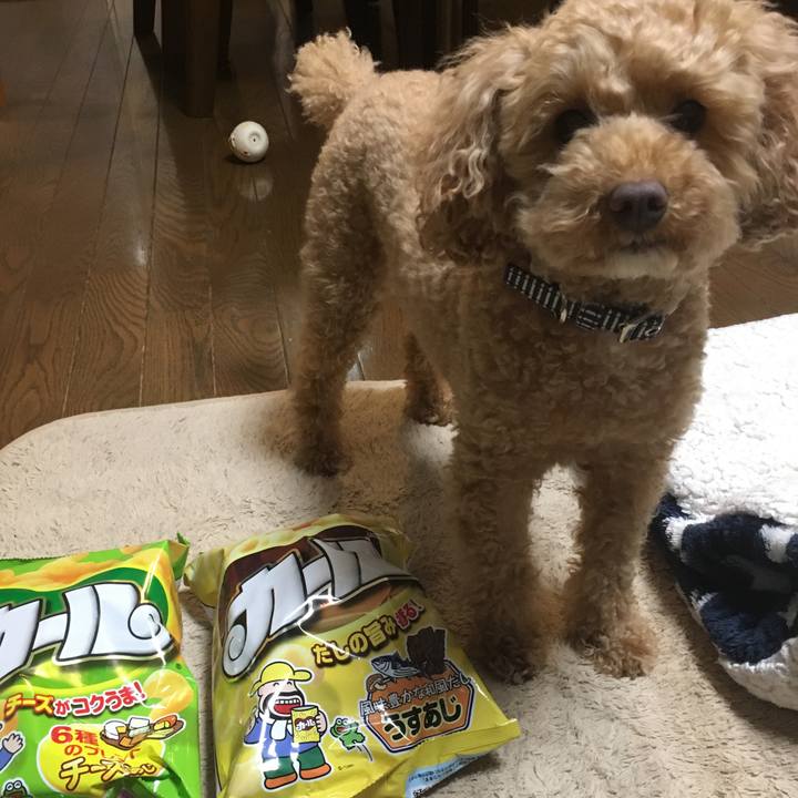 B468f3f1 4952 410e 915a 49519ba21eea 1550269893162