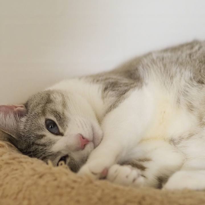 B469026e fb20 4605 8388 6c93433a995d 1615380820211