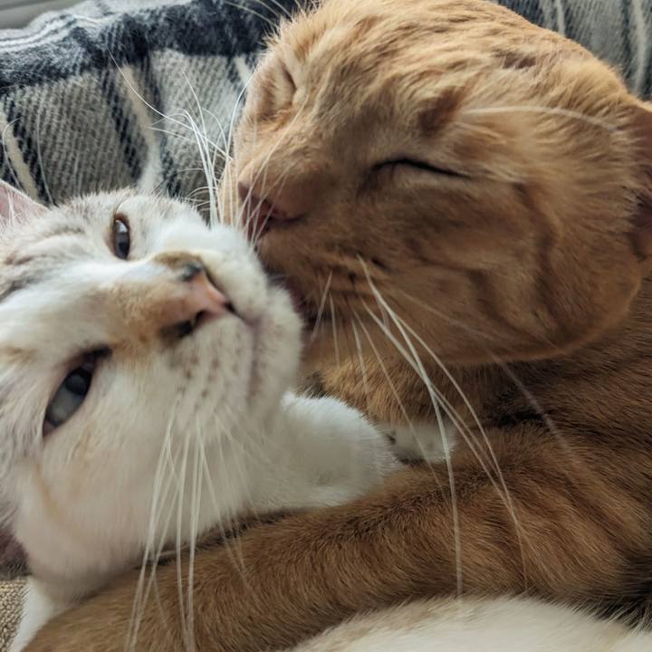 B46925c9 f941 49a5 94d6 68f4e5a1c3c3 1703474056351