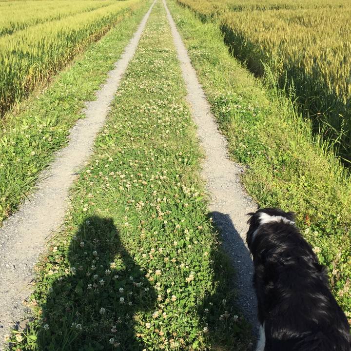 B4692f12 ad99 4d14 87d8 b81fd858d6f3 1557185020980