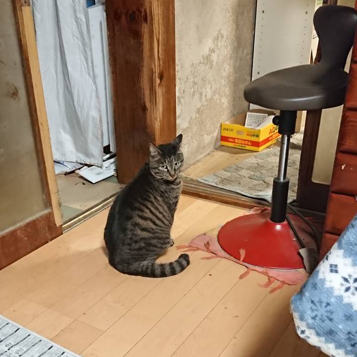 B4693df1 fa2c 43cf 94d5 5433722ced96 1650977666712