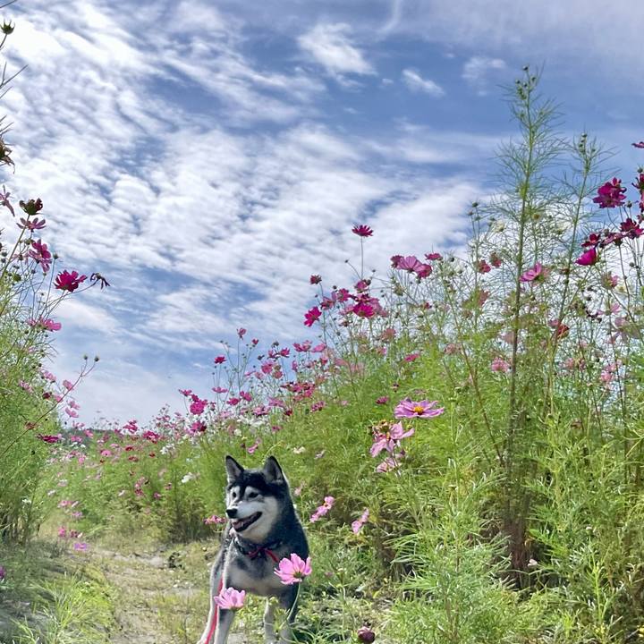 B4697ed1 b168 42ea 9a31 f58a7223023e 1762046818985