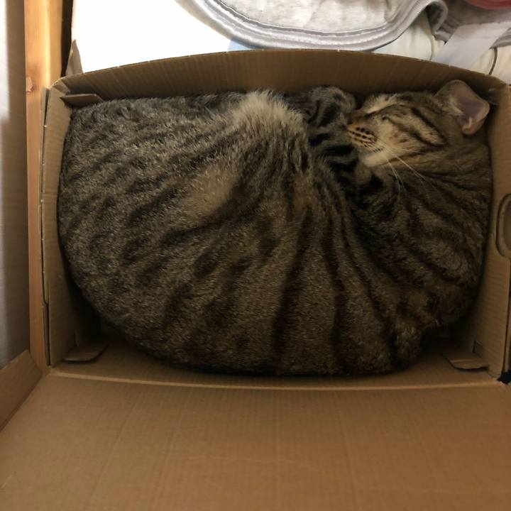 B469b63c ba85 4d98 b3a5 e57f88fbe94a 1543250855426