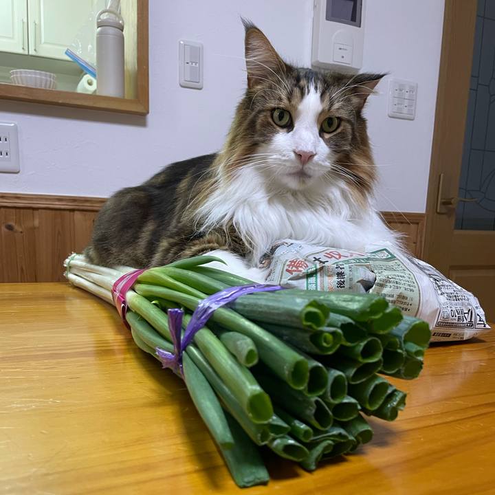 B469bb74 cdca 48e4 bd10 0e83aa5c5c9e 1762551204013