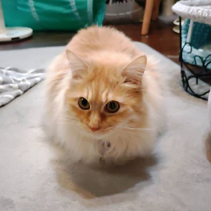 B46a0c95 8495 4c0b a6db 3124da88cc84 1712180575983