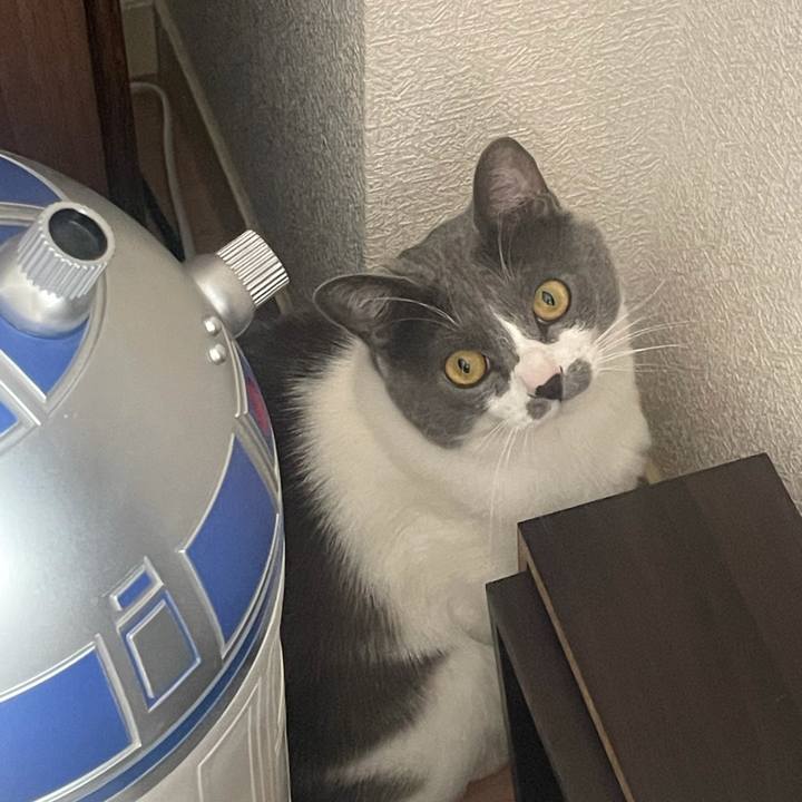 B46a14bc b9f9 431c 9394 ca1bd9a88b3a 1646005131874