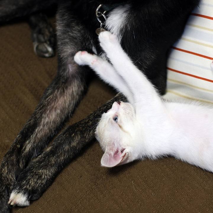 B46a172e 4d56 4b3d b5f1 133b3e70f540 1598142743505