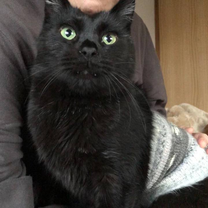 B46a2d1e 50f6 465f a763 4526aa3749ee 1605338458759