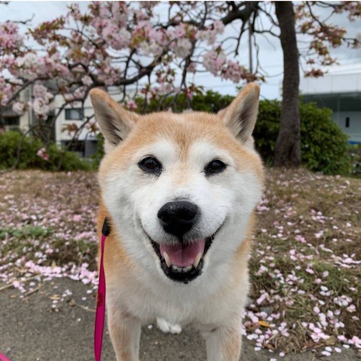 B46a341f 192d 48e3 89ea a1ae7d9dc304 1742875249776