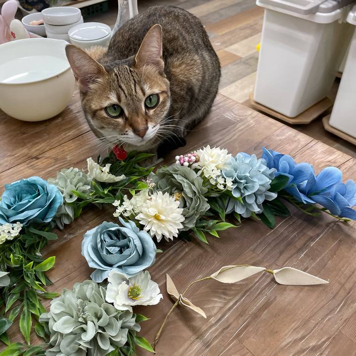 B46a3543 6a57 459a 9336 ac24fb3edb5a 1737295022194