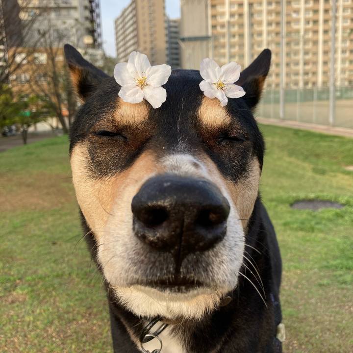 B46a3979 9715 4c8d b812 7fd61b304e68 1712549282294