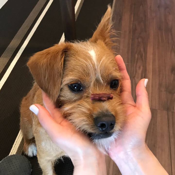 B46a5785 5676 409c 8546 0c5c1c0fda48 1528259702214