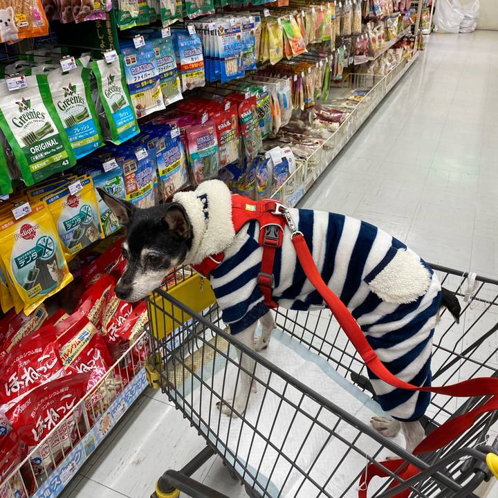 B46a86de 0573 4100 82cb b11f12372f42 1614406934032