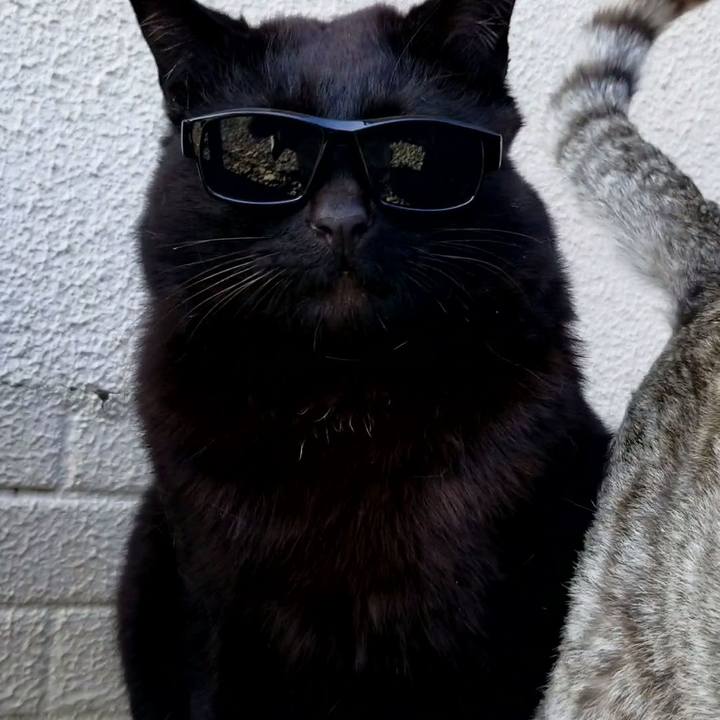 B46a90b4 88d3 4bd5 99b9 42d0735547f1 1684854120551