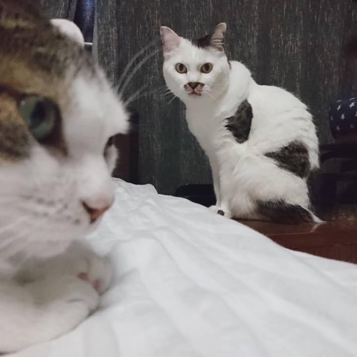 B46aa031 22c1 4e2f 90ee a3c13fcb8f4c 1559962295155