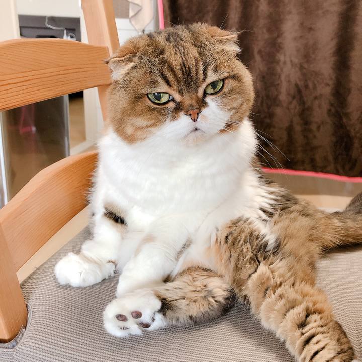 B46aa21a 73e1 497c 9c7e 9ea81f444c8a 1588479147941