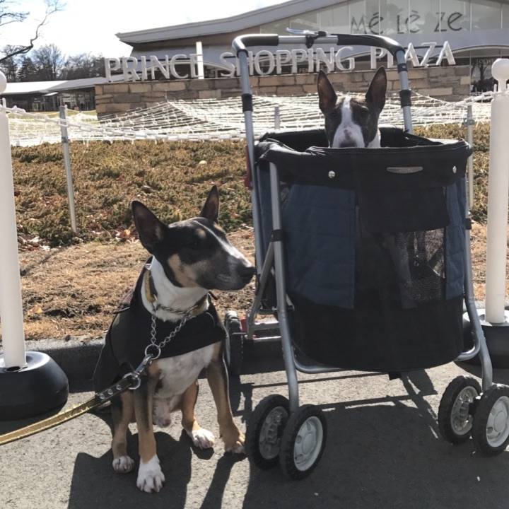 B46ad630 9783 4e6a 83e3 c0462615c636 1510817610295