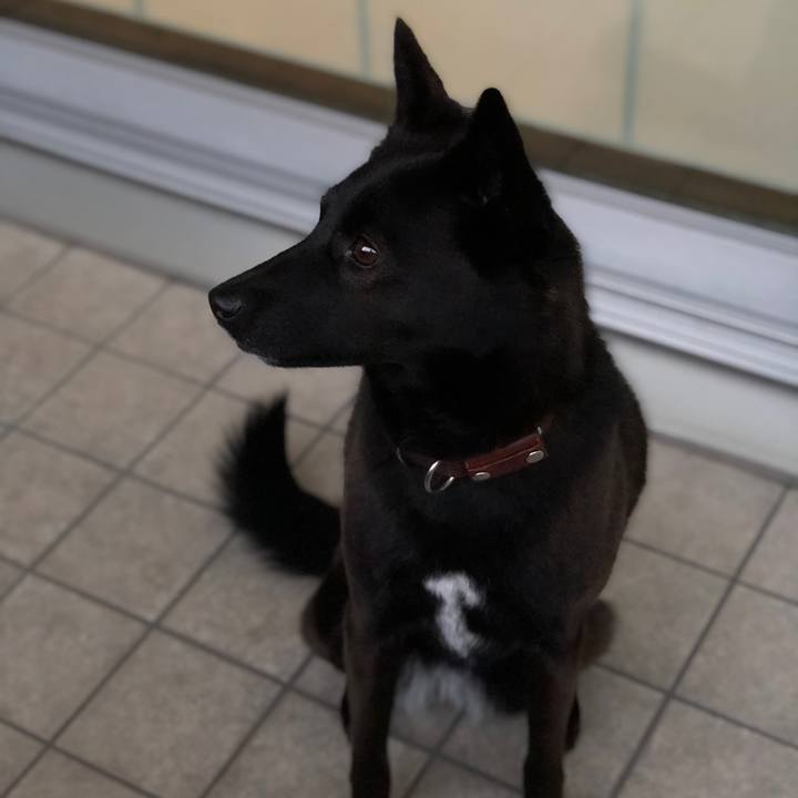 B46b4564 bf39 4156 9b55 63eeee6c5fe5 1586338570883