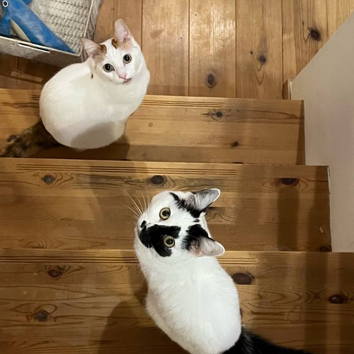 B46b585c f4fb 4ae5 b468 125de2c2ea07 1761486458415