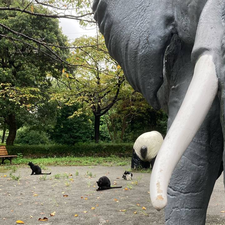 B46b7b4b 1a5e 4730 972e ee2cd07f020a 1599901359126