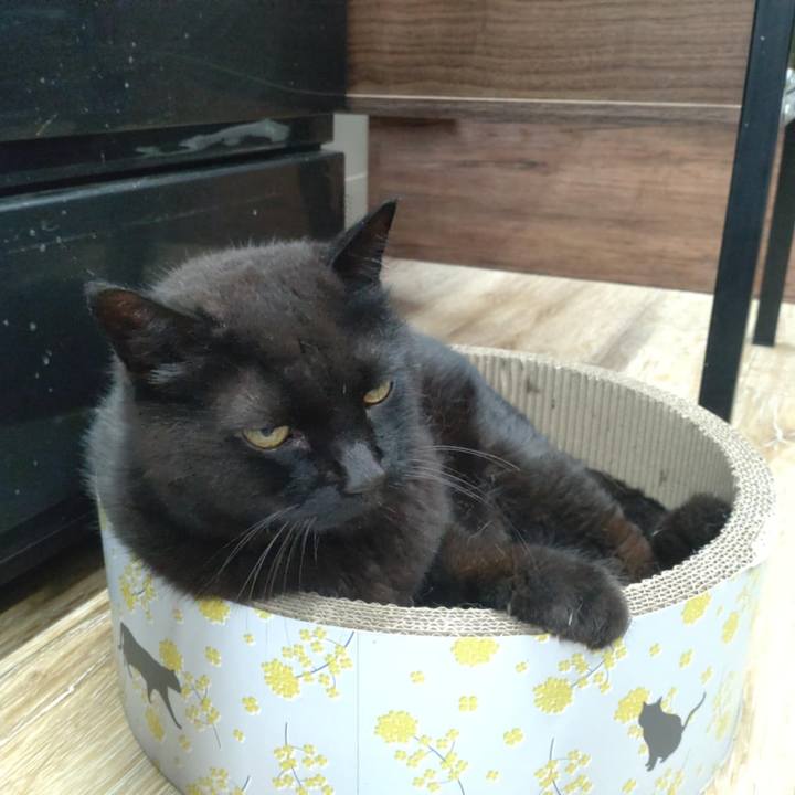 B46b8e6b 16f6 420b 8a3c 6b338ef80e8e 1754011178508