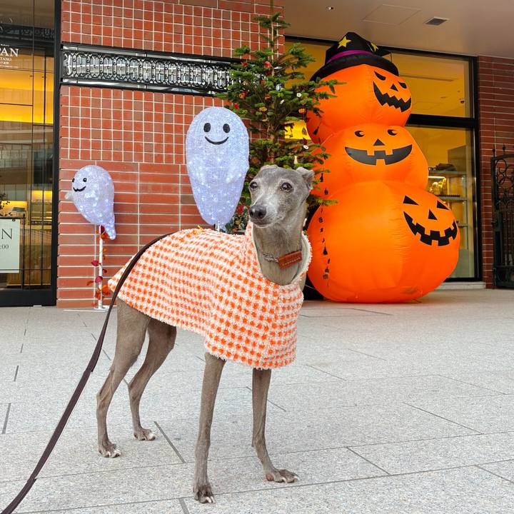 B46b986e 0dc0 4849 ab9d 22e6eb6ee9b1 1761819568769