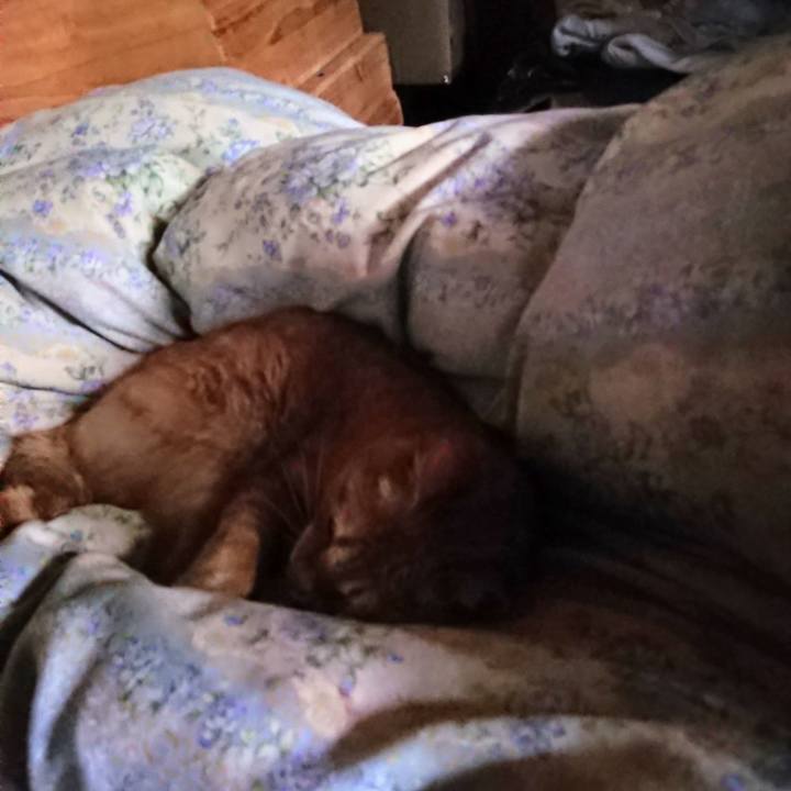 B46be3bd 53e8 4cc0 870b 2a004217a91d 1658093157032