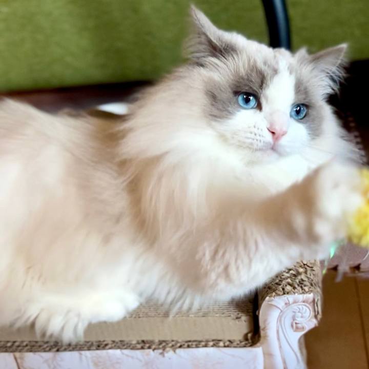 B46bf44a 8f75 4e0c b32b eb49f16bf6f2 1705359780108