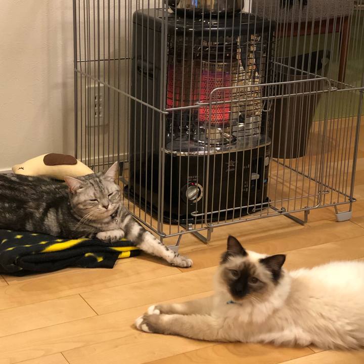 B46c000c 7b8f 4d5e 9393 560f6100747a 1515562087874