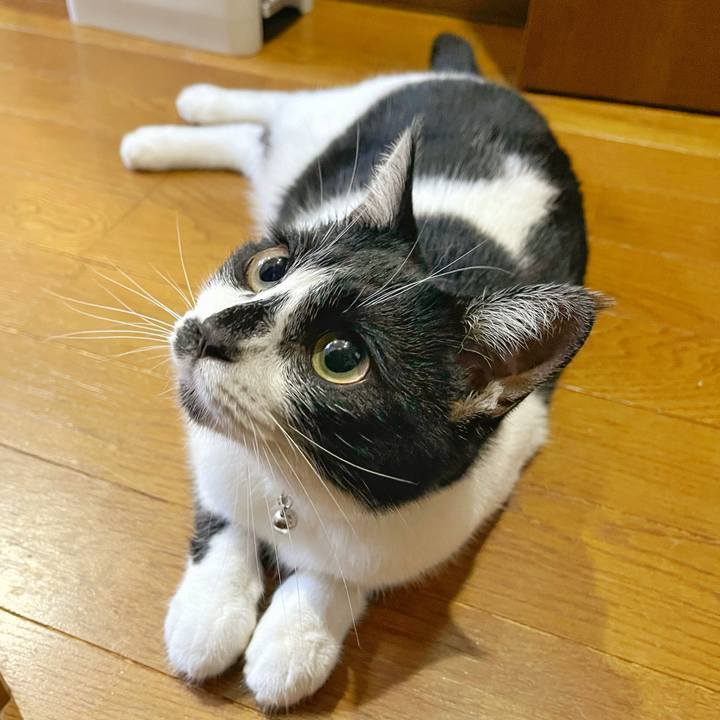 B46c1dd3 4f49 44db 82b5 8f0b8f29c927 1753656859721