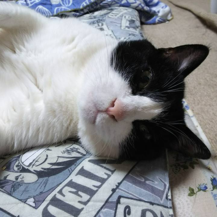 B46c6181 8cea 40d6 87cd 792f4a0b96ac 1531060850582