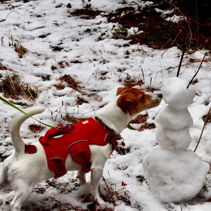 B46cb31f a1dc 4c57 9e1b dc53b63342a7 1541158554088