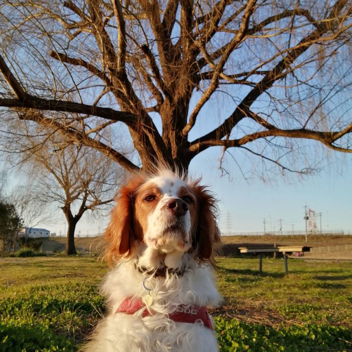 B46cc7f7 0522 4b35 af47 540f1b0e24f0 1612093183973