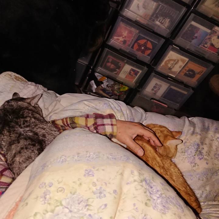 B46cd0a1 df50 4bfd 82e1 006fcd8528b6 1576354220897