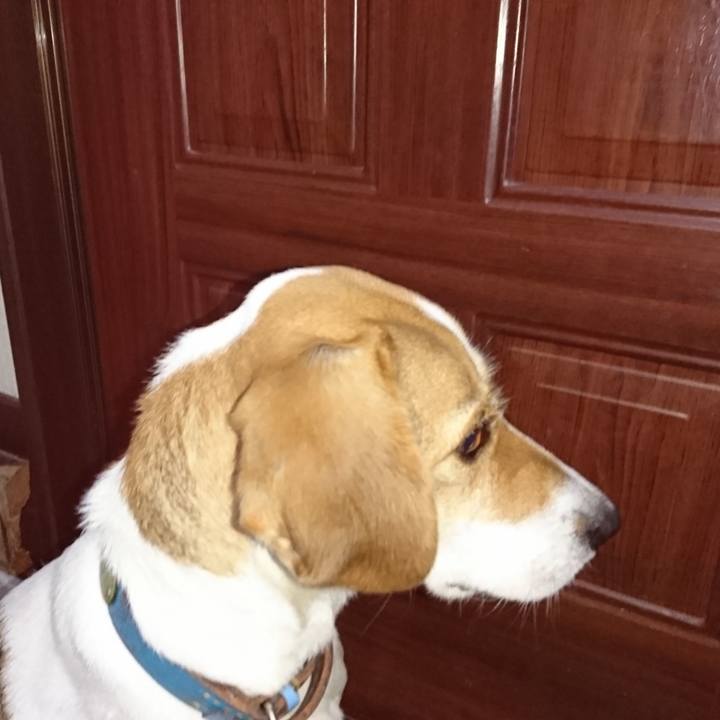 B46cddb8 5783 4b1d aea3 a489153521bc 1574684584132