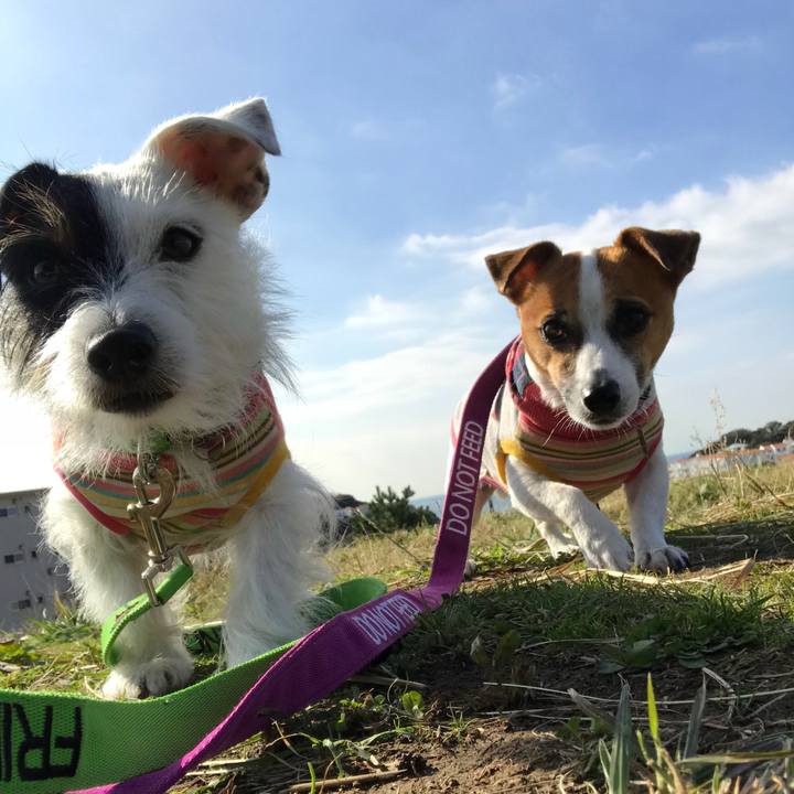 B46d3004 37c4 4ea0 a244 9cde6b28efbe 1510795300656