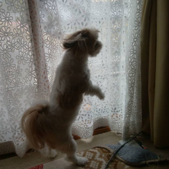 B46d4c4e 47fe 4cfb a4ab f5673b79615b 1516583039267